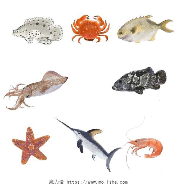 水彩海鲜  海洋生物 螃蟹 鱼 虾 png素材